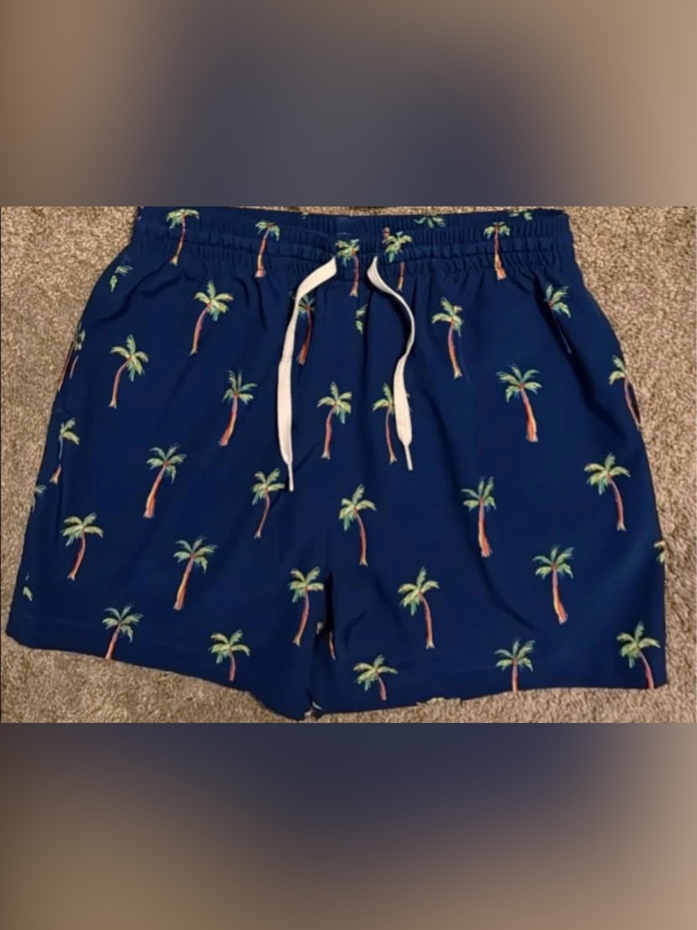 chubbies Navy Swim Trunks with Pineapple Accent